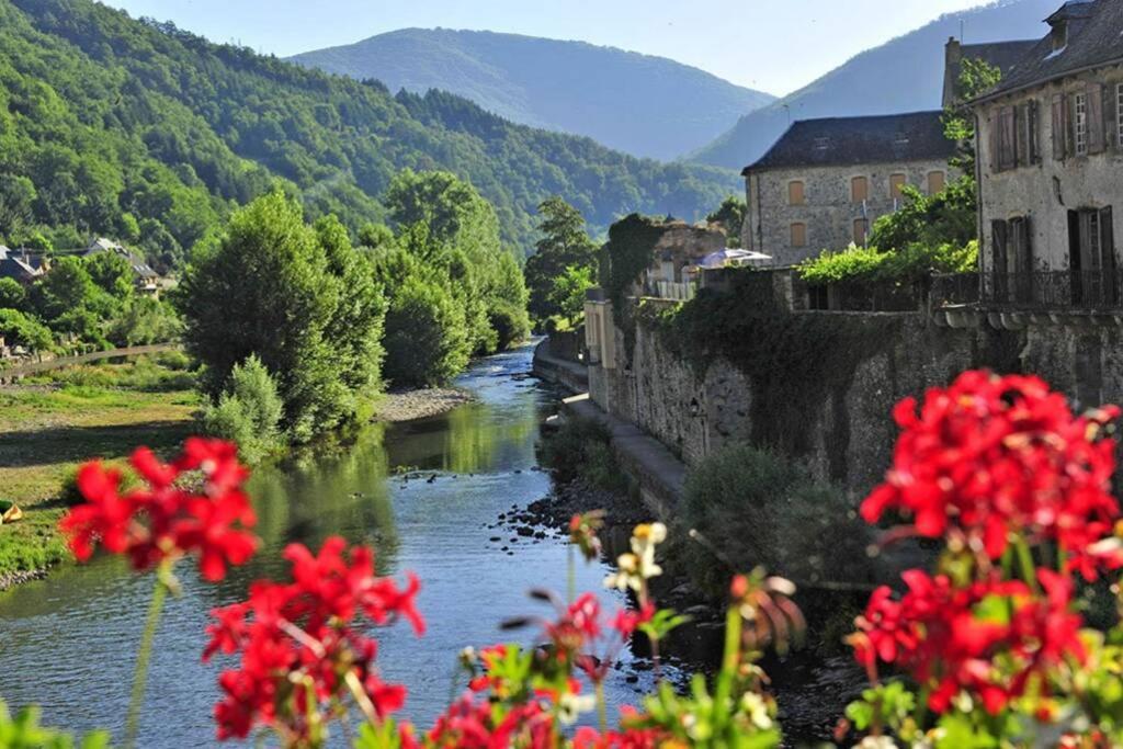 Au 11 T3 Duplex, Village Vacances, Piscines, Parking Saint-Geniez-dʼOlt Zewnętrze zdjęcie