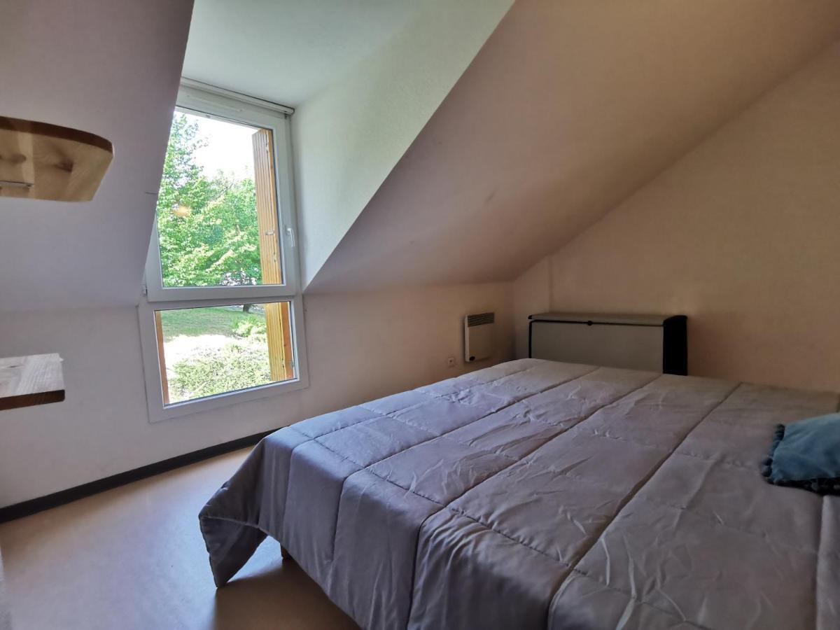 Au 11 T3 Duplex, Village Vacances, Piscines, Parking Saint-Geniez-dʼOlt Zewnętrze zdjęcie