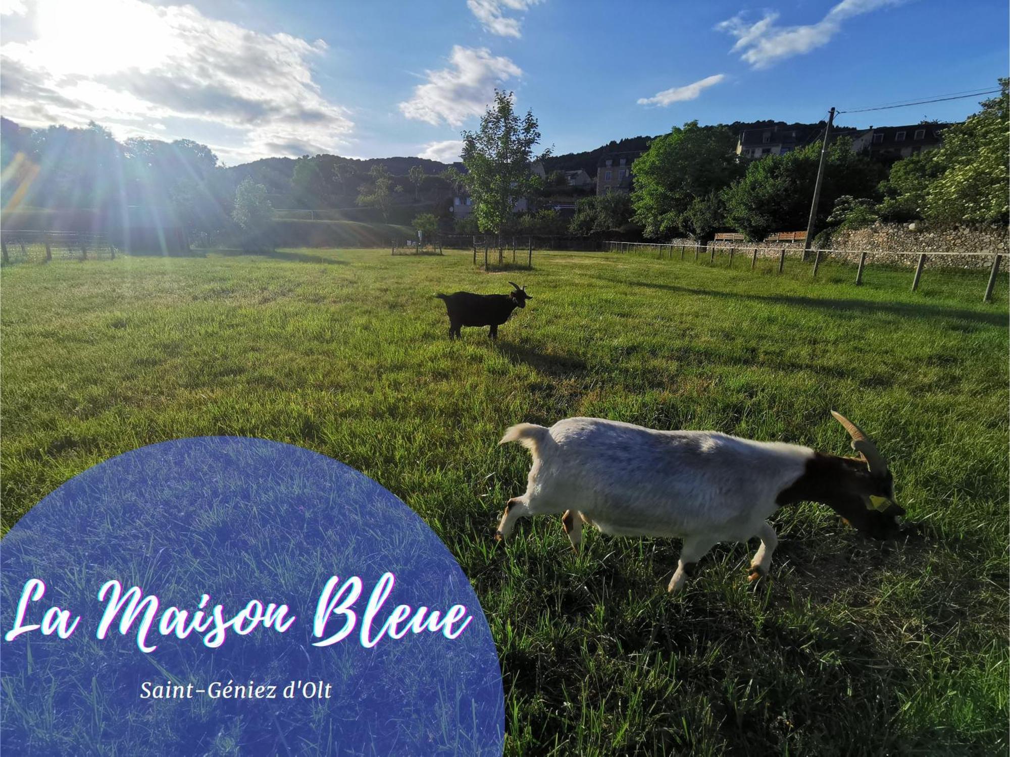 Au 11 T3 Duplex, Village Vacances, Piscines, Parking Saint-Geniez-dʼOlt Zewnętrze zdjęcie